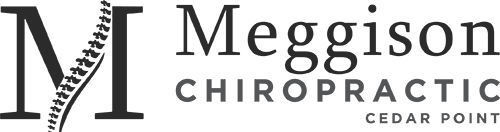 Meggison Chiropractic
